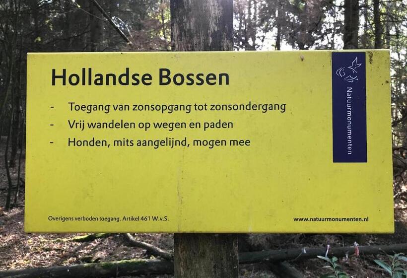 1ベッドルームハウス, Vijverhoef