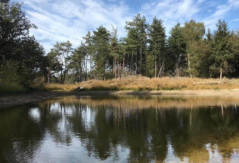 1ベッドルームハウス, Vijverhoef