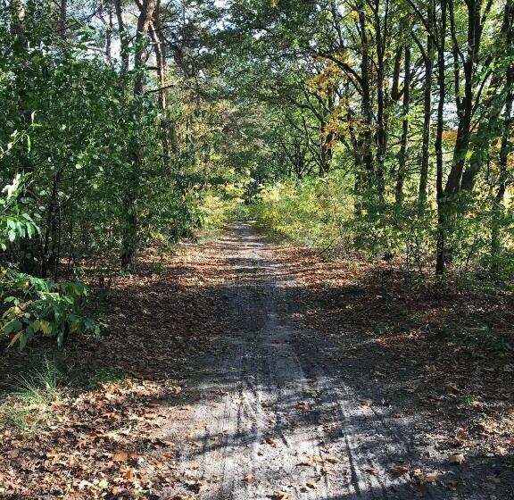 ガーデンビュースタンダードルーム, Vijverhoef