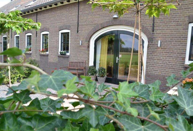 スタンダードルーム, Vijverhoef