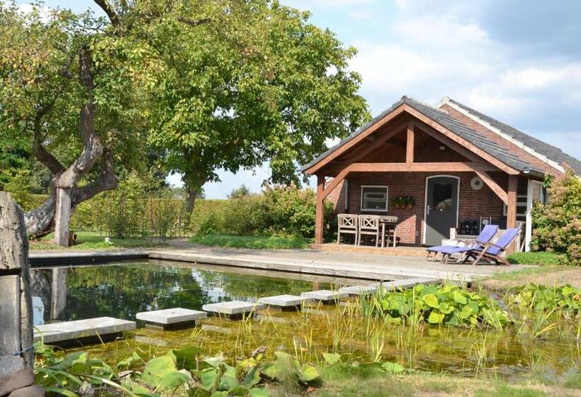 1ベッドルームハウス, Vijverhoef