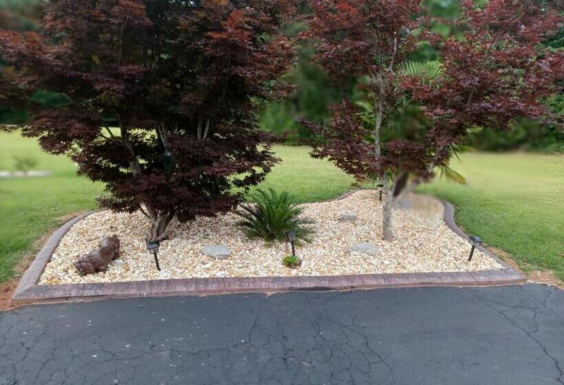 إستوديو ديلوكس, Cozy Mobay