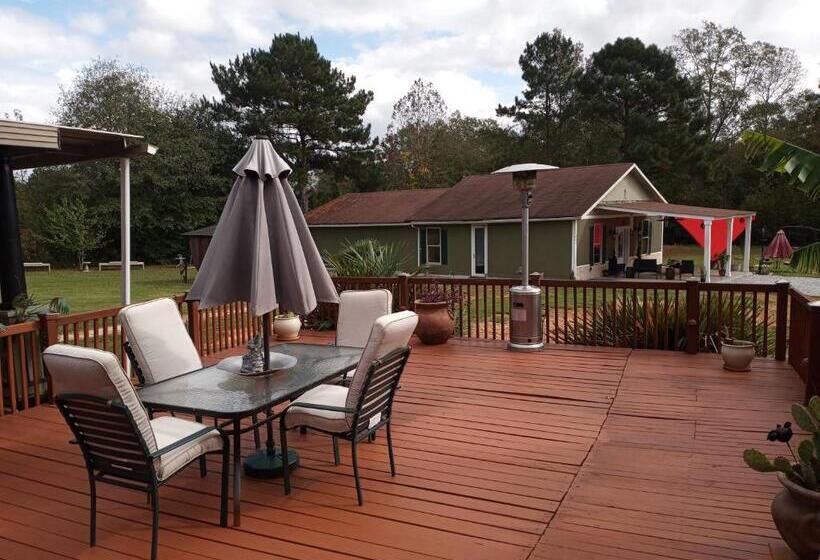 إستوديو ديلوكس, Cozy Mobay