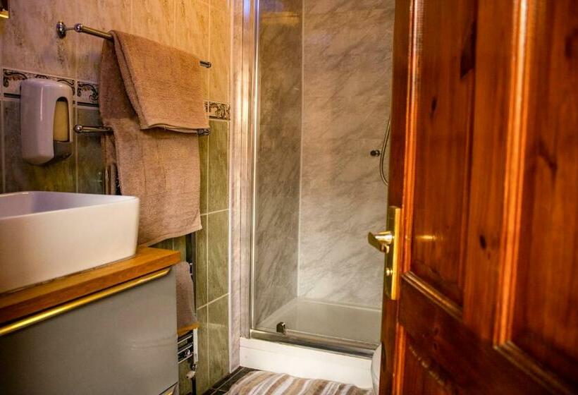 패밀리 룸, The Dolphin