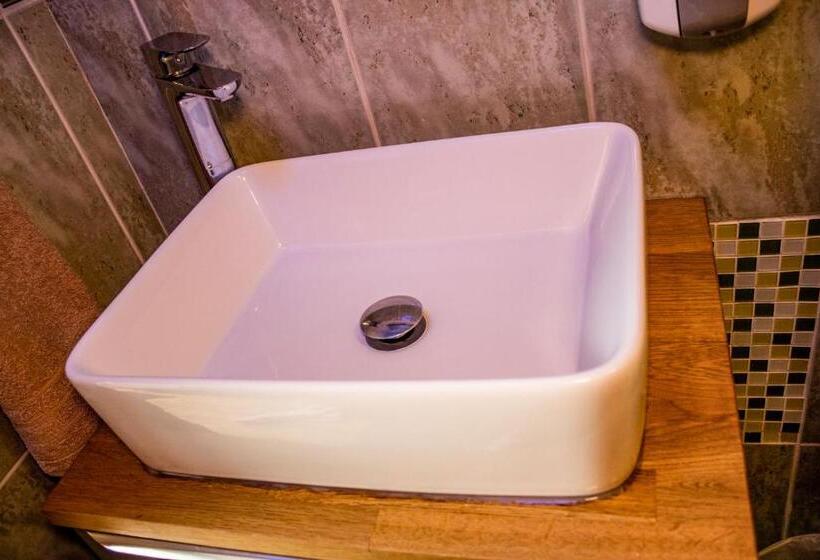 패밀리 룸, The Dolphin