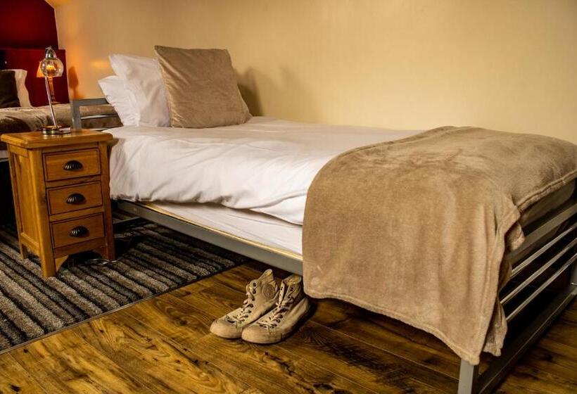 패밀리 룸, The Dolphin