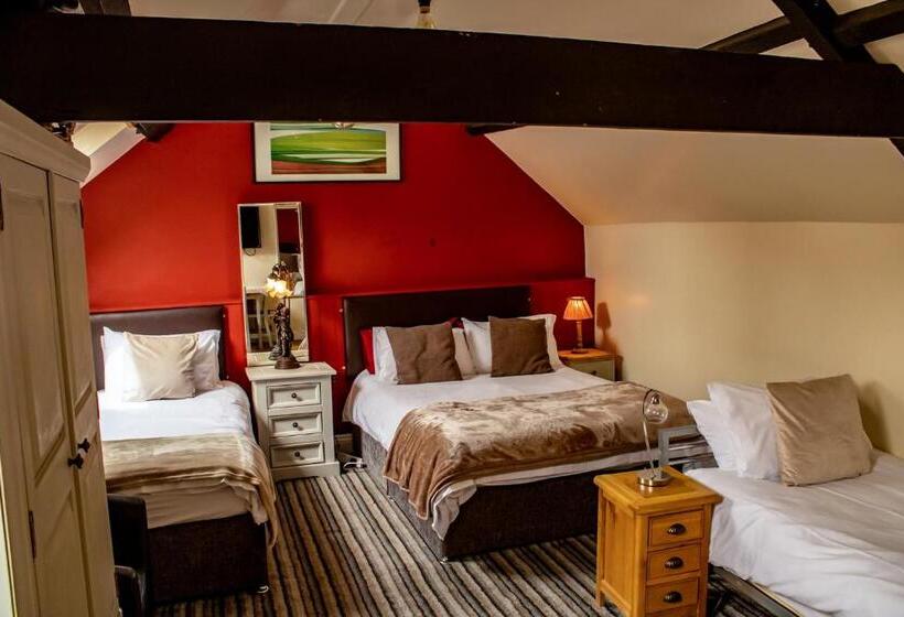 패밀리 룸, The Dolphin