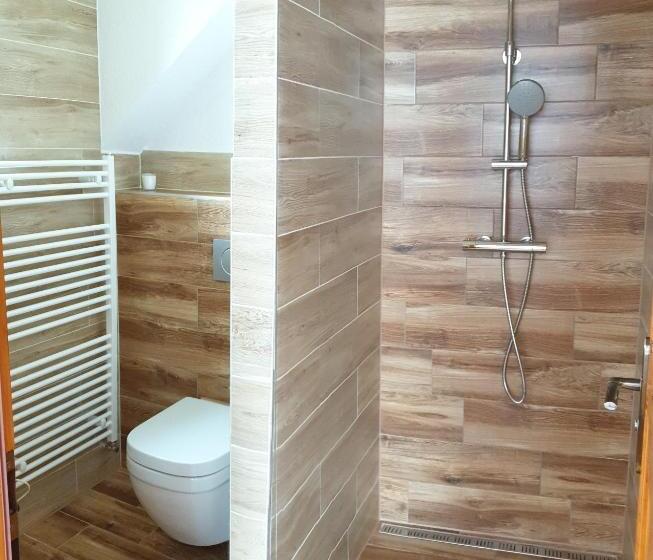 豪华房间, Chalupa Anna