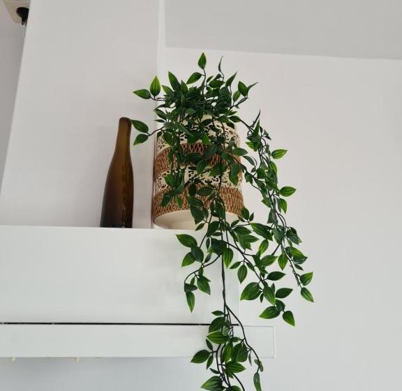 スタンダードルーム, Evy S Place