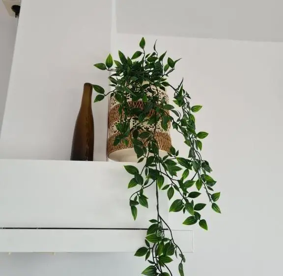 اتاق استاندارد, Evy S Place