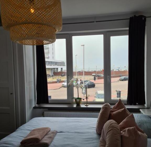 スタンダードルーム, Evy S Place