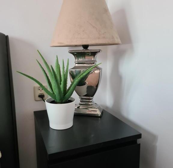 スタンダードルーム, Evy S Place