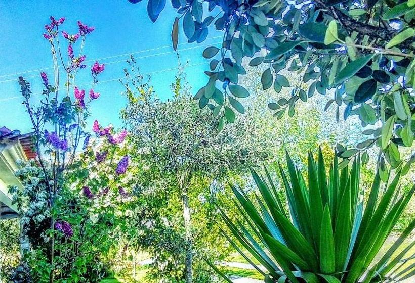 غرفة قياسية, Casa Vale Do Rio Ovil