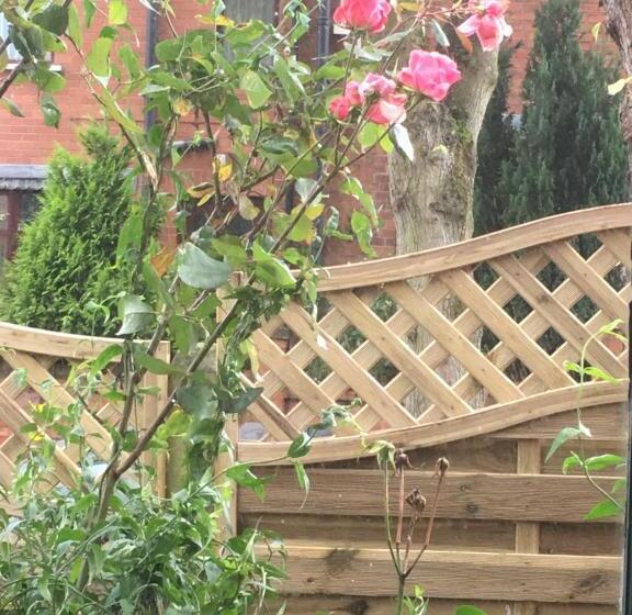 اتاق لوکس, Brackenberry