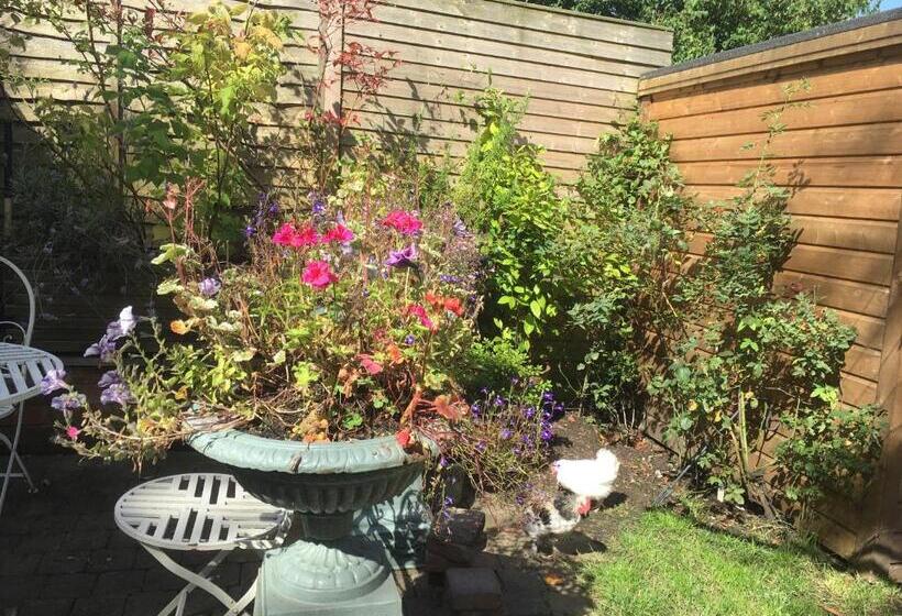 اتاق لوکس, Brackenberry