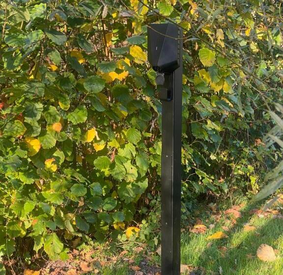 דירת שני חדרים, Benbzuiderzee