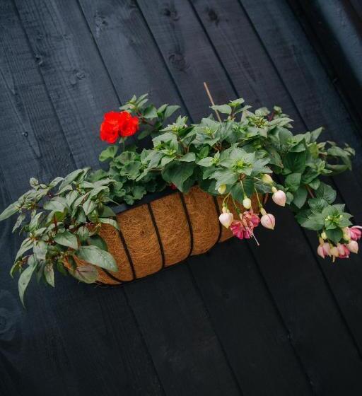 منزل غرفة نوم واحدة, Fieldsview