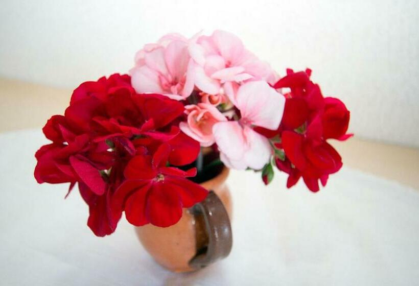 اتاق استاندارد با چشمانداز کوهستان, Kmetija Matk