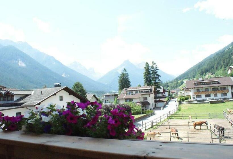 带1个卧室带观景的公寓, Singerhof