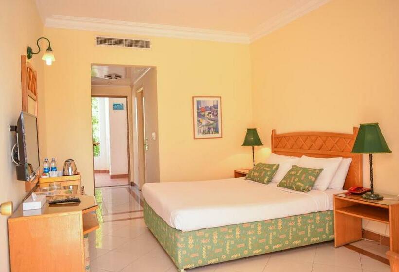 Standard Szoba, Dive Inn Resort