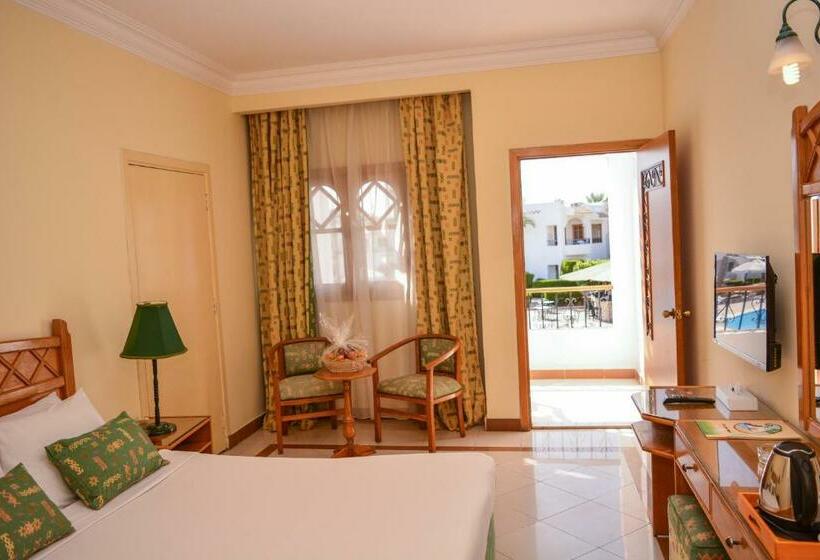 Standard Szoba, Dive Inn Resort