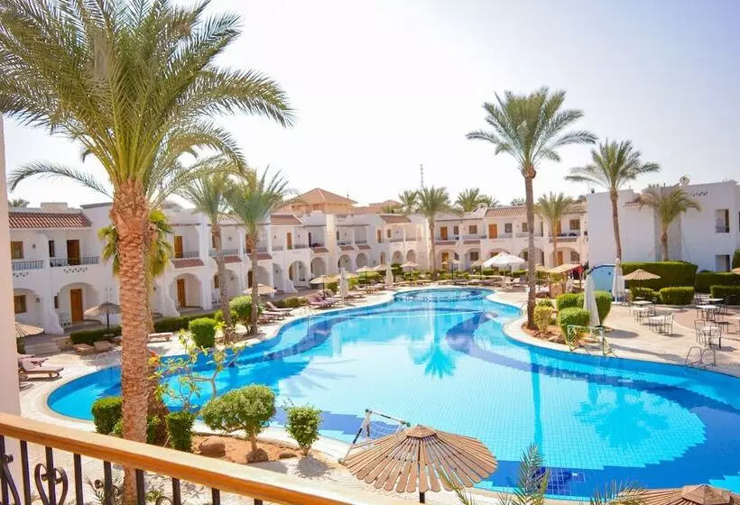 اتاق استاندارد, Dive Inn Resort