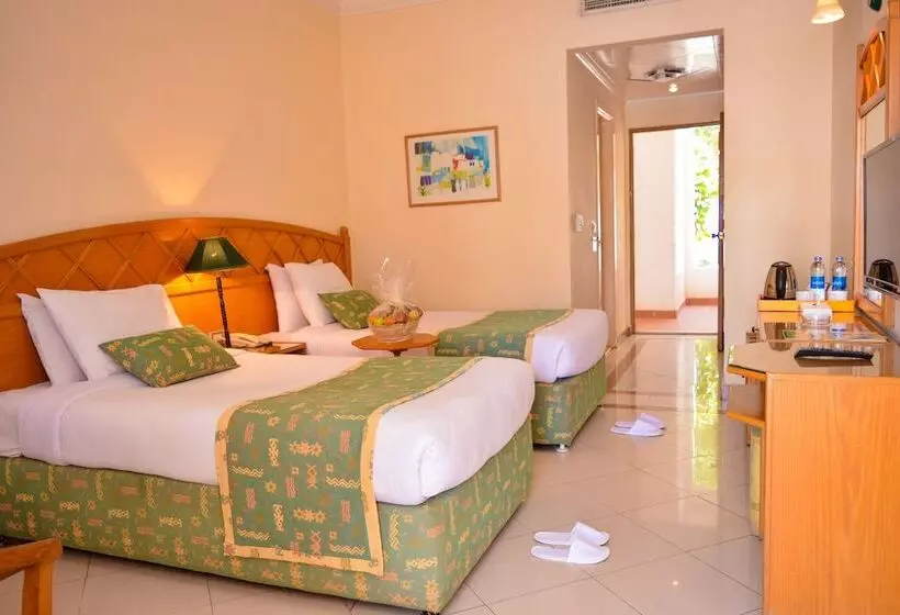 اتاق استاندارد, Dive Inn Resort