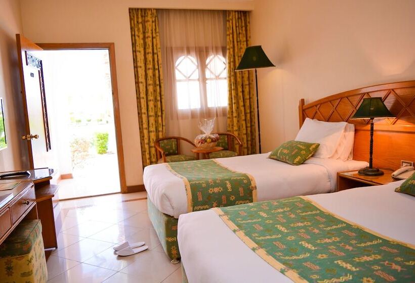 Camera Standard, Dive Inn Resort