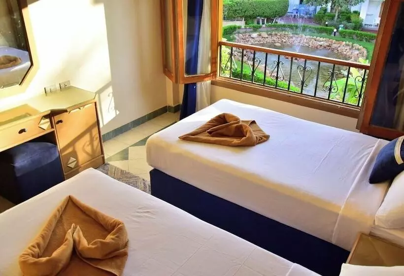 اتاق اکونومی, Dive Inn Resort