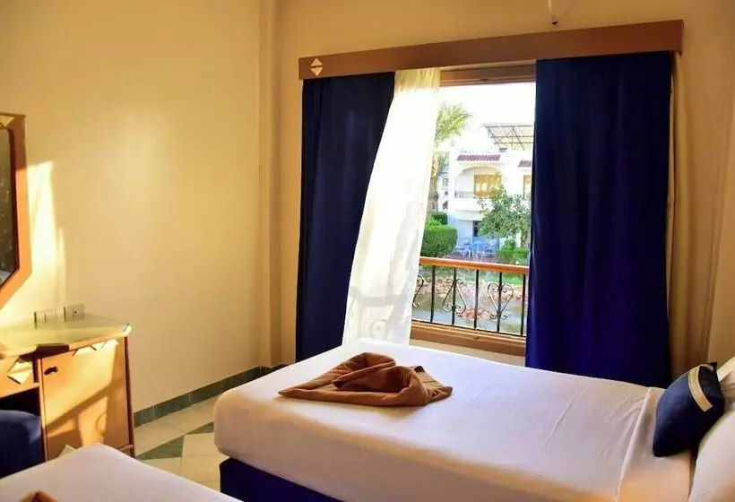 اتاق اکونومی, Dive Inn Resort