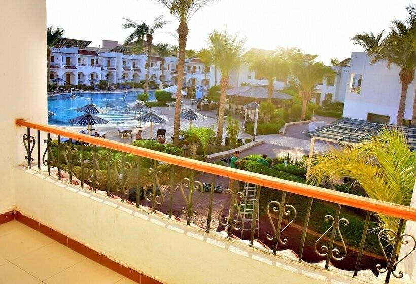 Camera Standard, Dive Inn Resort