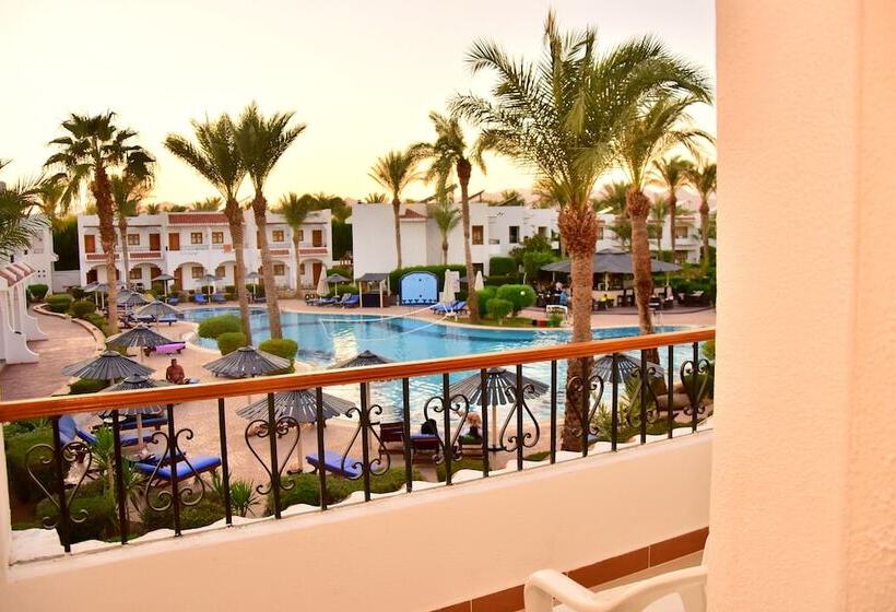 Camera Standard, Dive Inn Resort