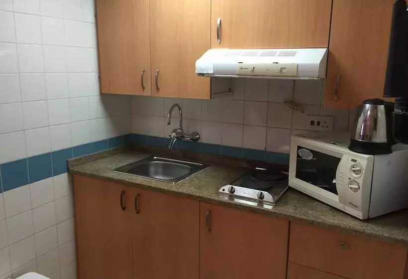 آپارتمان لوکس 1 خوابه, Habib Hotel Apartments