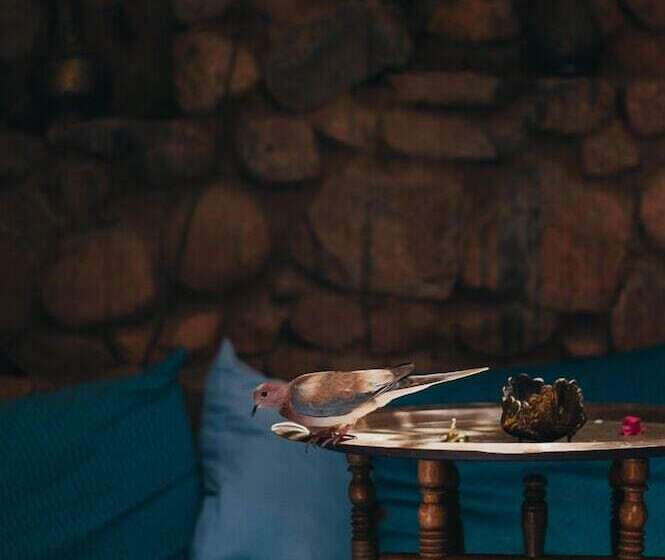 اتاق استاندارد, Alf Leila Boutique