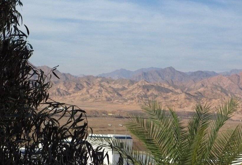 سوییت, Alf Leila Boutique