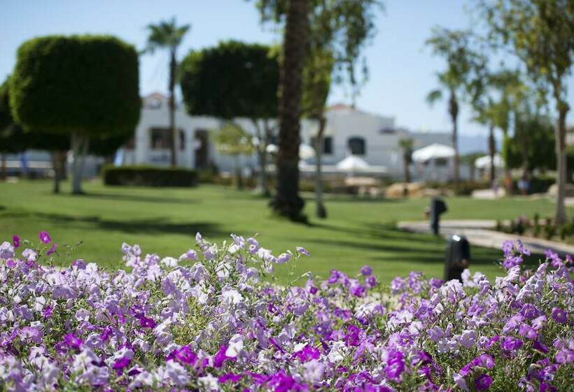 اتاق استاندارد با چشمانداز باغ, Amphoras Beach Ultra All Inclusive