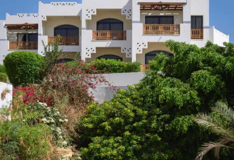 اتاق استاندارد با چشمانداز باغ, Amphoras Beach Ultra All Inclusive