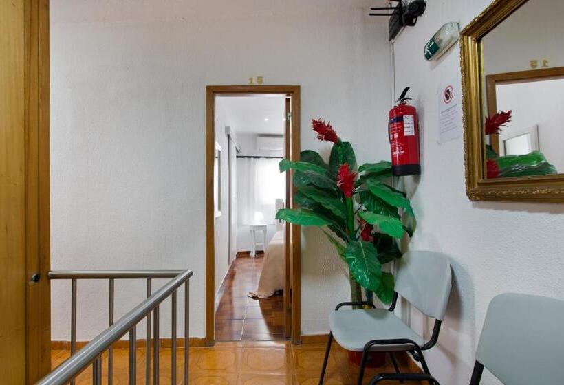 اتاق استاندارد یک نفره, Braganca Oporto