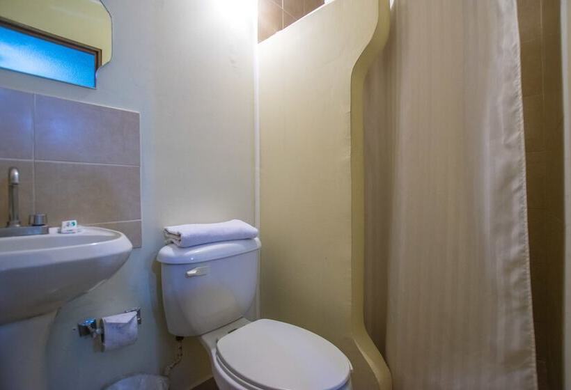 스탠다드 룸, Mateos 1215