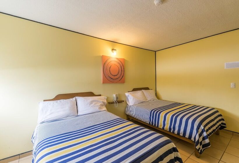 스탠다드 룸, Mateos 1215