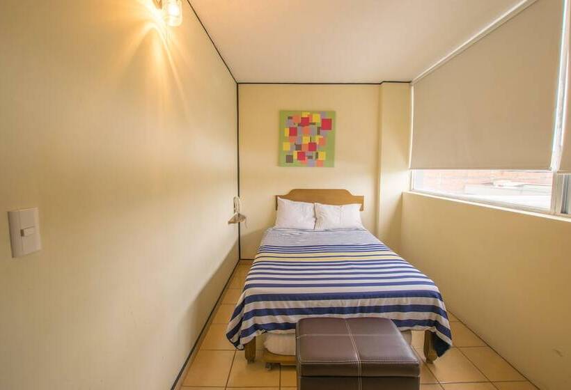 베이직 3인 룸, Mateos 1215