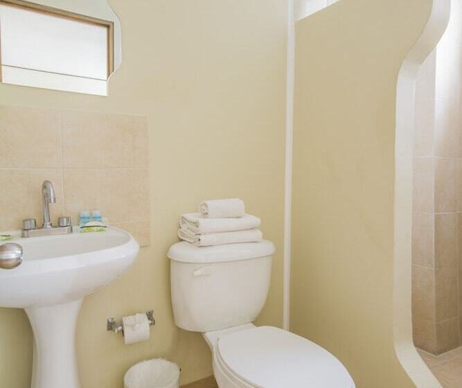 스탠다드 트리플 룸, Mateos 1215