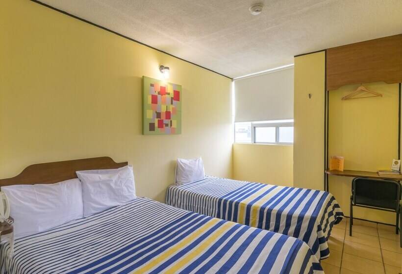 스탠다드 트리플 룸, Mateos 1215