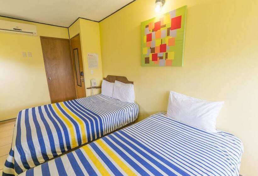 스탠다드 트리플 룸, Mateos 1215