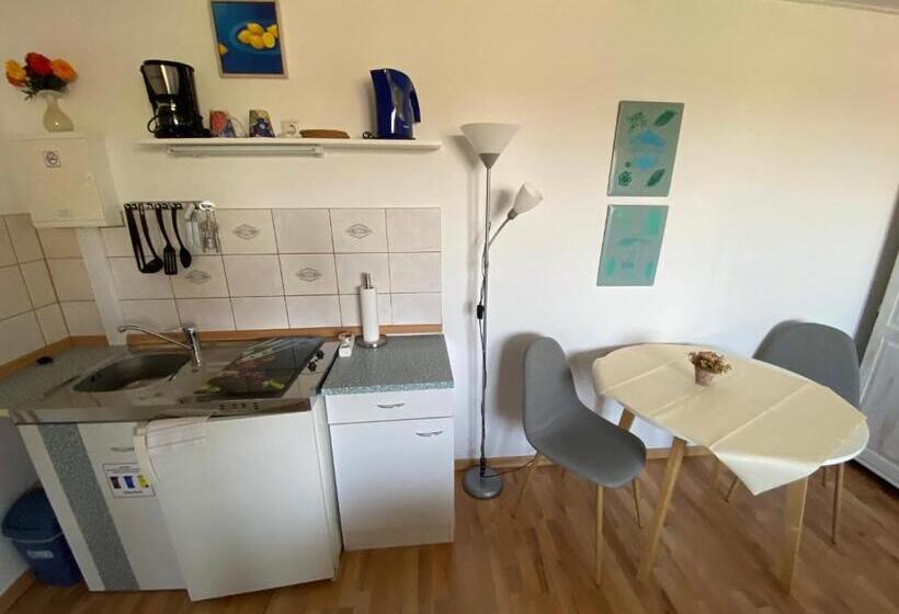 スタンダードスタジオ, Aparthotel  Zur Müritz