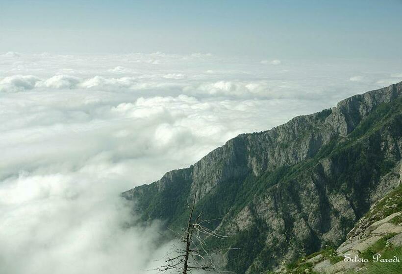 标准单人间, Albergo Santo Spirito