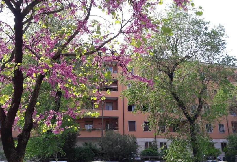 اتاق سوپریور سه تخته, Romeo & Juliet Non