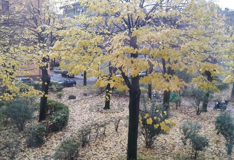 اتاق استاندارد چهار تخته, Romeo & Juliet Non