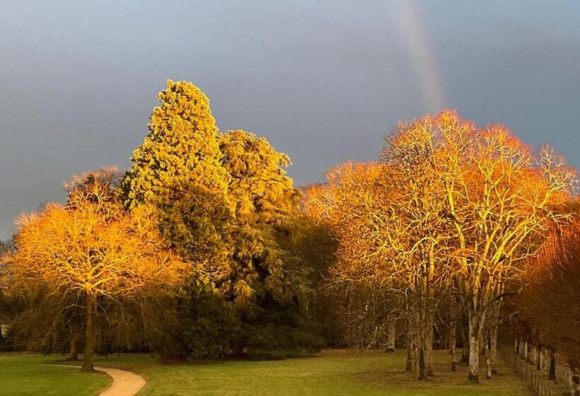 جناح سوبيريور, Château De Beauvais