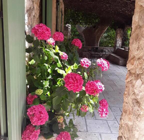 スタンダードルーム, Mas De L Ile